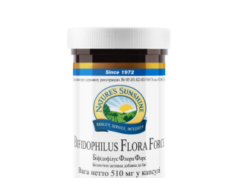 Бифидобактерии: описание ингредиента