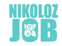 На чем специализируется компания Николоз Джоб?