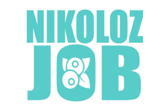 На чем специализируется компания Николоз Джоб?