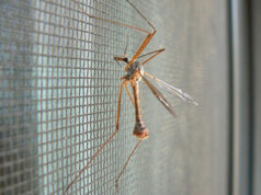 Как правильно установить москитную сетку?