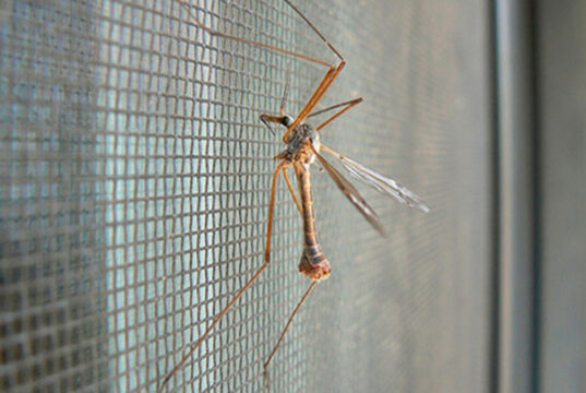 Как правильно установить москитную сетку?