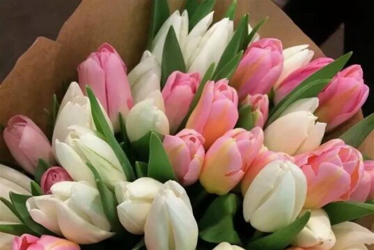 Тюльпаны: любимые цветы большинства женщин