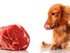 Какое мясо для собак стоит выбирать?