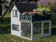 Этапы строительства курятника