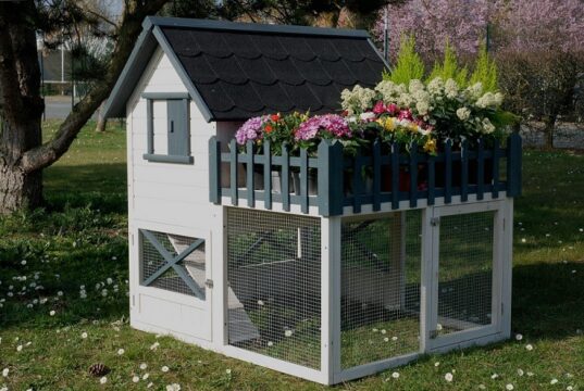 Этапы строительства курятника