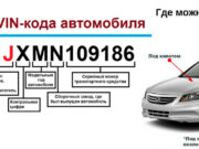 Что можно узнать по гос.номеру или VIN-коду автомобиля