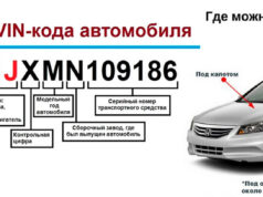 Что можно узнать по гос.номеру или VIN-коду автомобиля