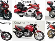 Мотоциклы: виды, критерии выбора