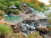 Почему стоит приобрести тур на Курильские острова