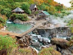 Почему стоит приобрести тур на Курильские острова