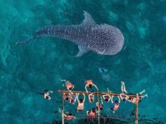 Захватывающие экскурсии на острове Себу