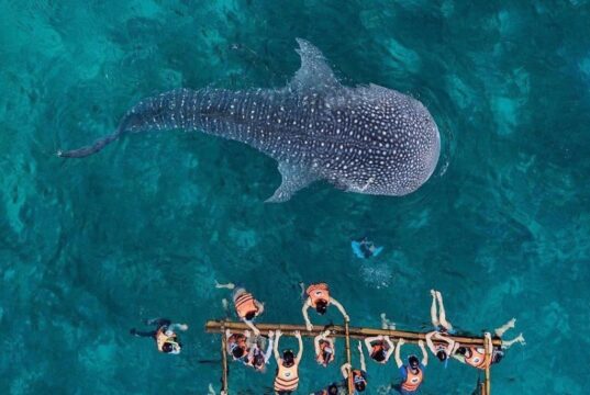 Захватывающие экскурсии на острове Себу