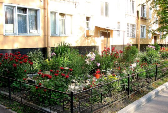 Благоустройство палисадника во дворе многоквартирного дома