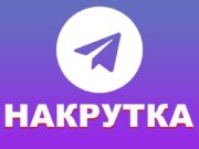 Проведение успешной кампании по накрутке подписчиков в Telegram: шаг за шагом