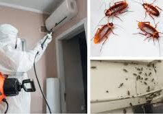 Когда может понадобиться травля тараканов