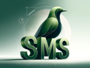 Виртуальный номер телефона для SMS от SMSBOWER